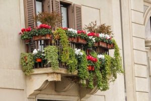 Darf man Kästen oder Töpfe für Pflanzen am Balkon anbringen?