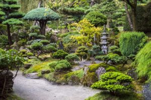 Gartengestaltung - Asiatischer Garten - Japangarten