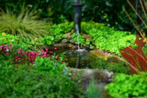 Wasser im Garten: Wassergarten gestalten