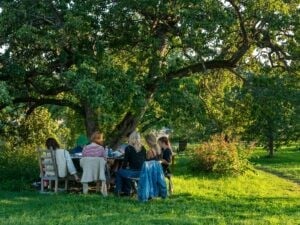 Gartenmöbel für verschiedene Anforderungen Personen