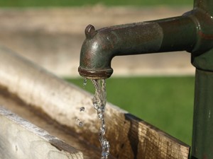 Hohe Temperaturen und anhaltende Trockenheit machen im Juli das Gießen der Pflanzen im Garten erforderlich.