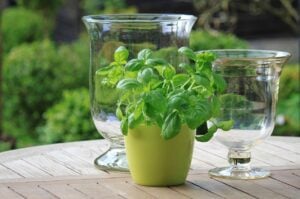 Gartentisch kaufen