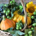 Herbst Dekoration 2023 - Deko Trends und Tipps für Haus und Garten