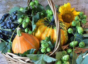 Herbst Dekoration 2023 - Deko Trends und Tipps für Haus und Garten