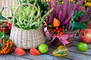 Herbstdekoration mit Heide