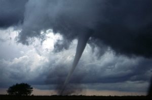 Es muss nicht immer ein Tornado sein: Auch ein kräftiger Sturm kann im Frühjahr oder Herbst starke Schäden im Garten und auf dem Grundstück anrichten.