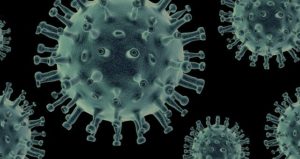 Virus - Hintergründe zu Viren, Unterschiede zu Bakterien und Pilzen - virenfreie Wohnung