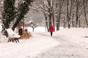 Wie oft muss die Gemeinde Schnee räumen?