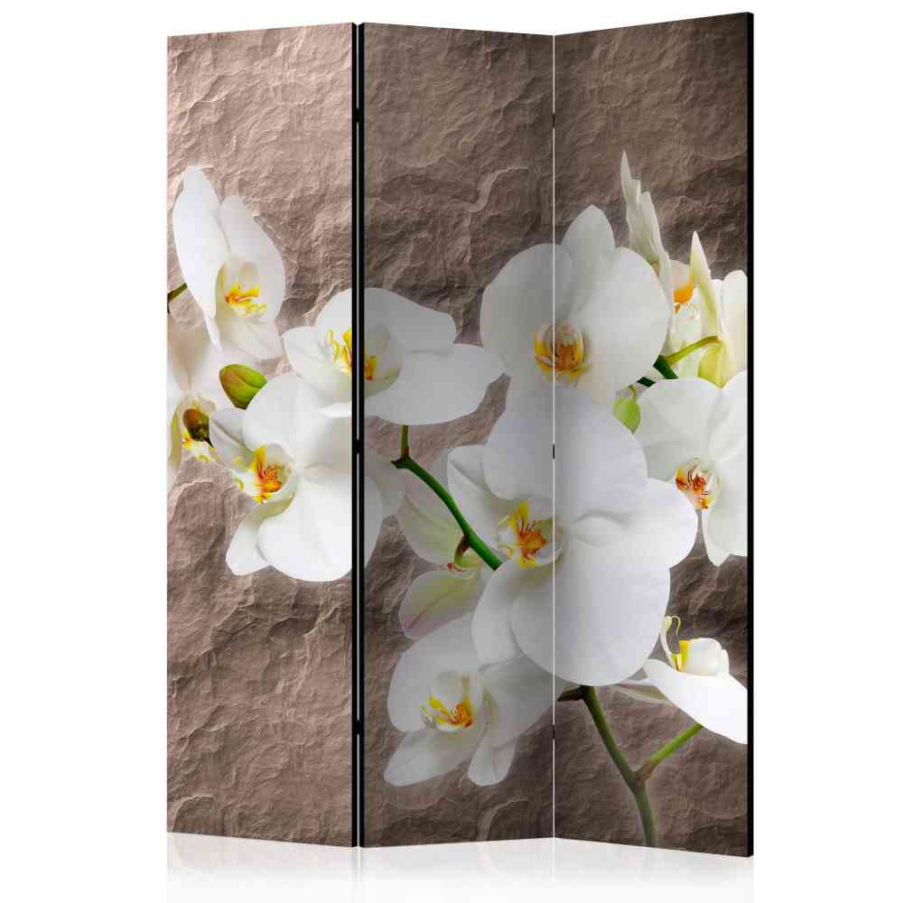Raumteiler Paravent mit weißen Orchideen - Oledaos