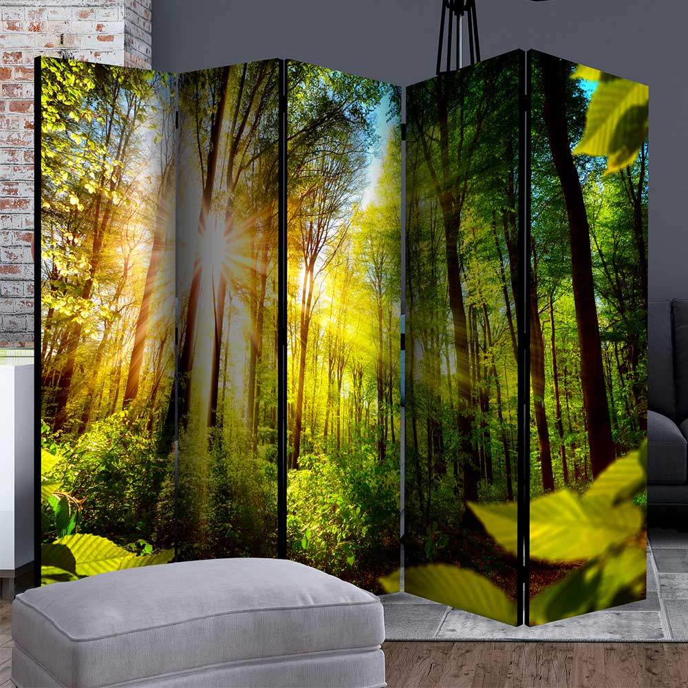 Foto Raumteiler mit Wald - Heliawa