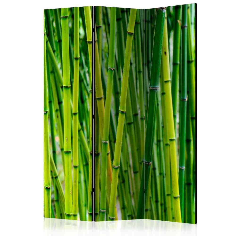 Grüner Paravent mit Bambus Foto - Ciliuma