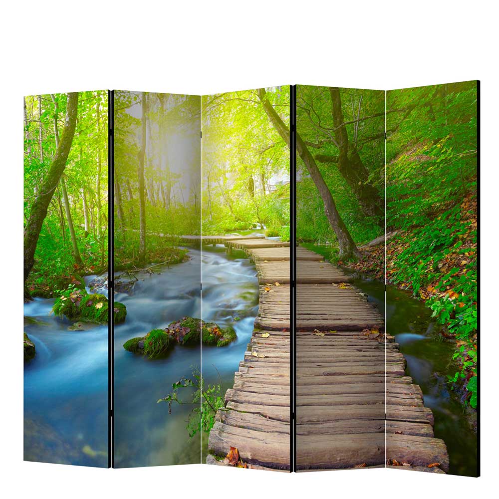 Spanische Wand mit Foto Wald Wasser & Holzweg - Musena