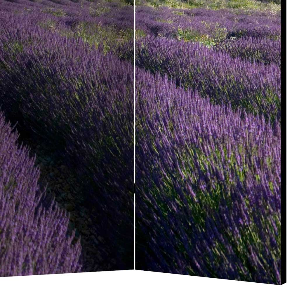 Farbiger Foto Paravent Lavendel Felder - Gachias