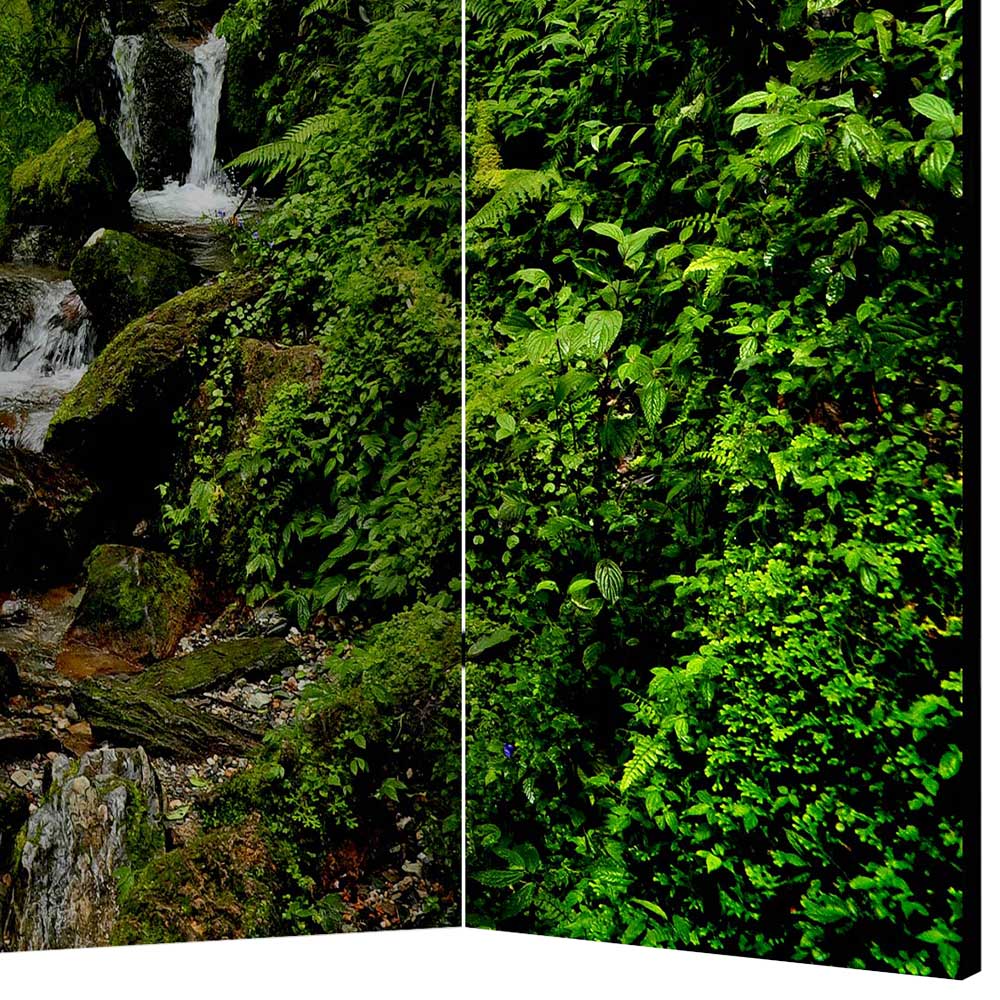 Naturmotiv Paravent Wald & Wasser - Rikuo