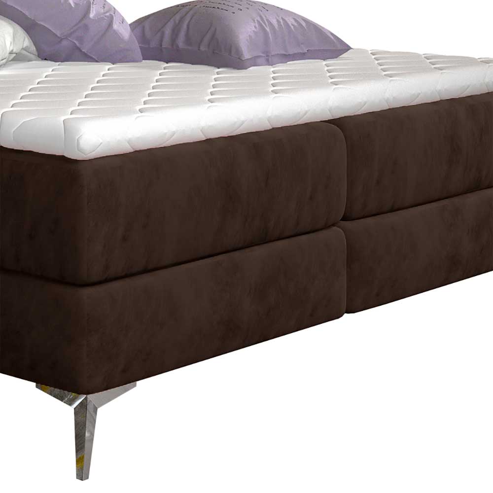 Boxbett in Dunkelbraun Velours - Glamour