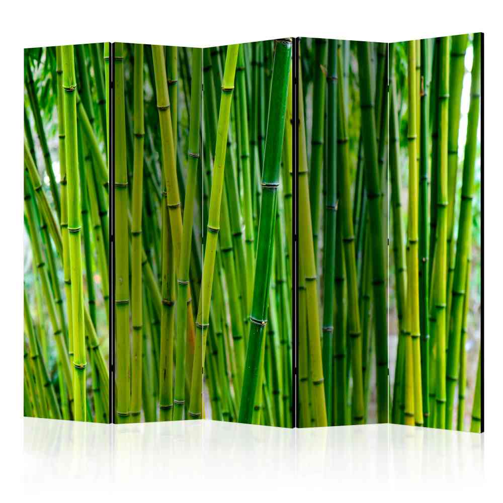 Bambus Wald Motiv-Paravent in Grün - Calexia