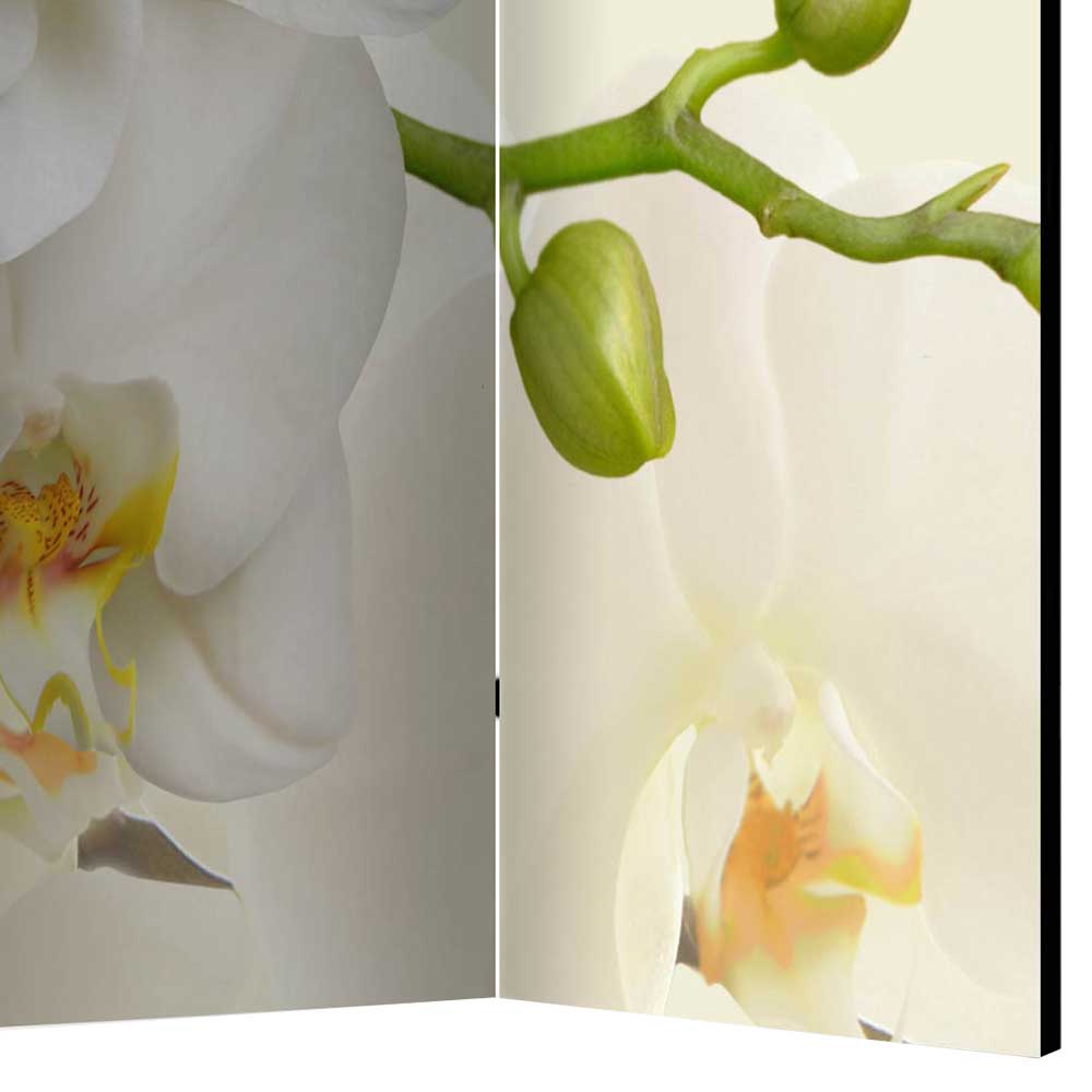 Fotoprint Leinwand Paravent Weiße Orchideen - Aury