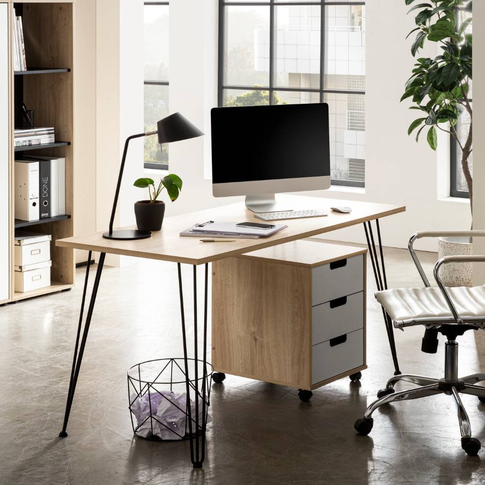 Design-Schreibtisch in Weißeiche Holzoptik mit schwarzen Hairpin-Beinen im Büro – Danascov