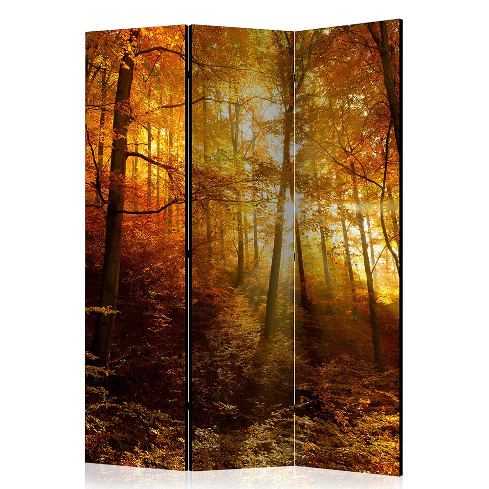 Paravent Trennwand Wald in Herbststimmung - Jemja