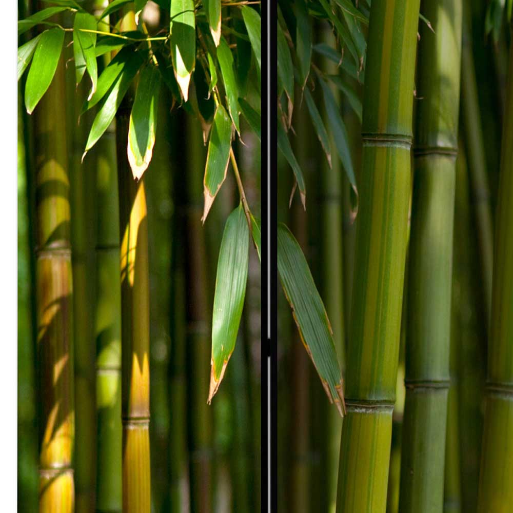 Fotodruck Paravent Bambus Halme & Blätter - Lecodas