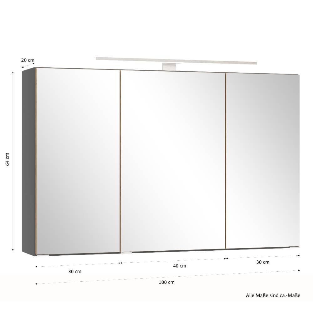 100cm Bad-Spiegelschrank in Mattgrau - Reill