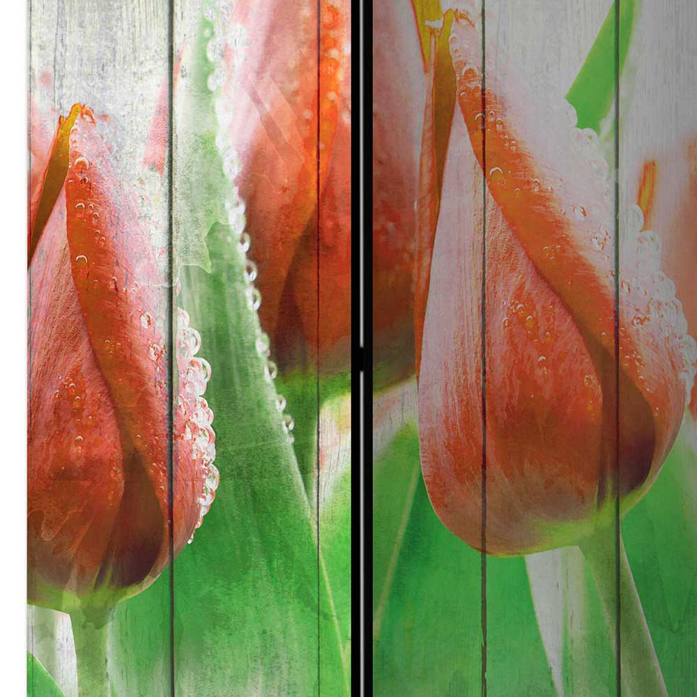 Kunstdruck Paravent Tulpen vor Holzwand - Filicudio