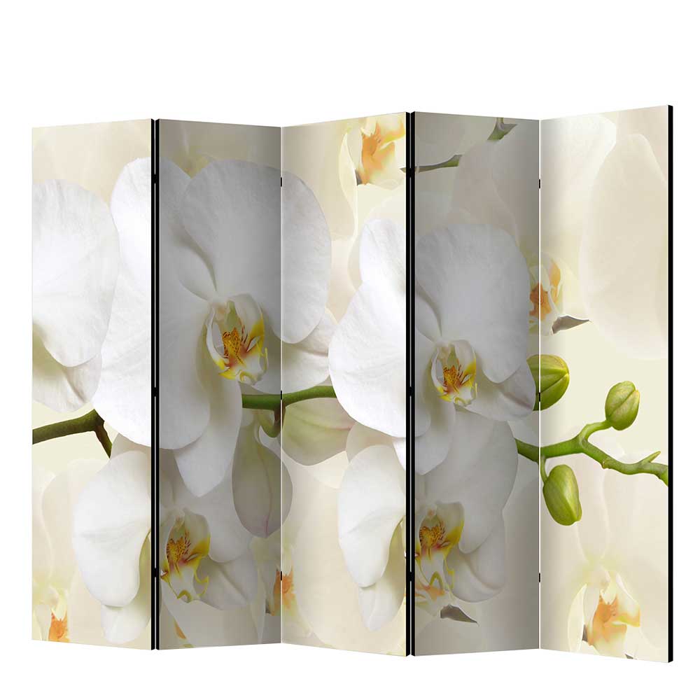 Fotoprint Leinwand Paravent Weiße Orchideen - Aury