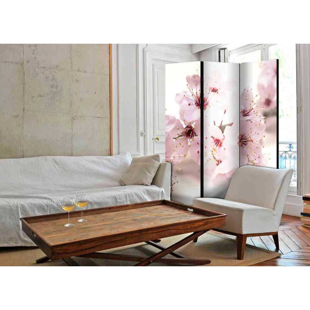 Leinwand Raumteiler Kirschblüten - Silvaria