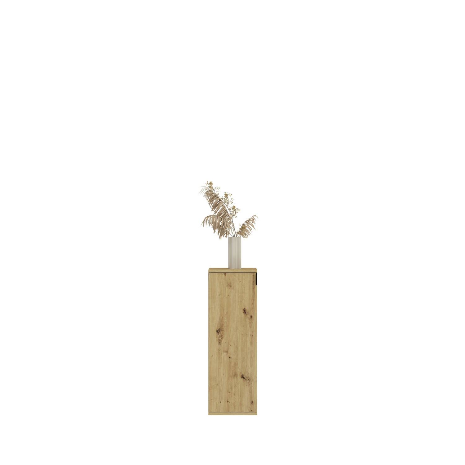 Kompaktes Garderobenelement aus hellem Holz mit natürlicher Maserung und einer Tür – Pretty