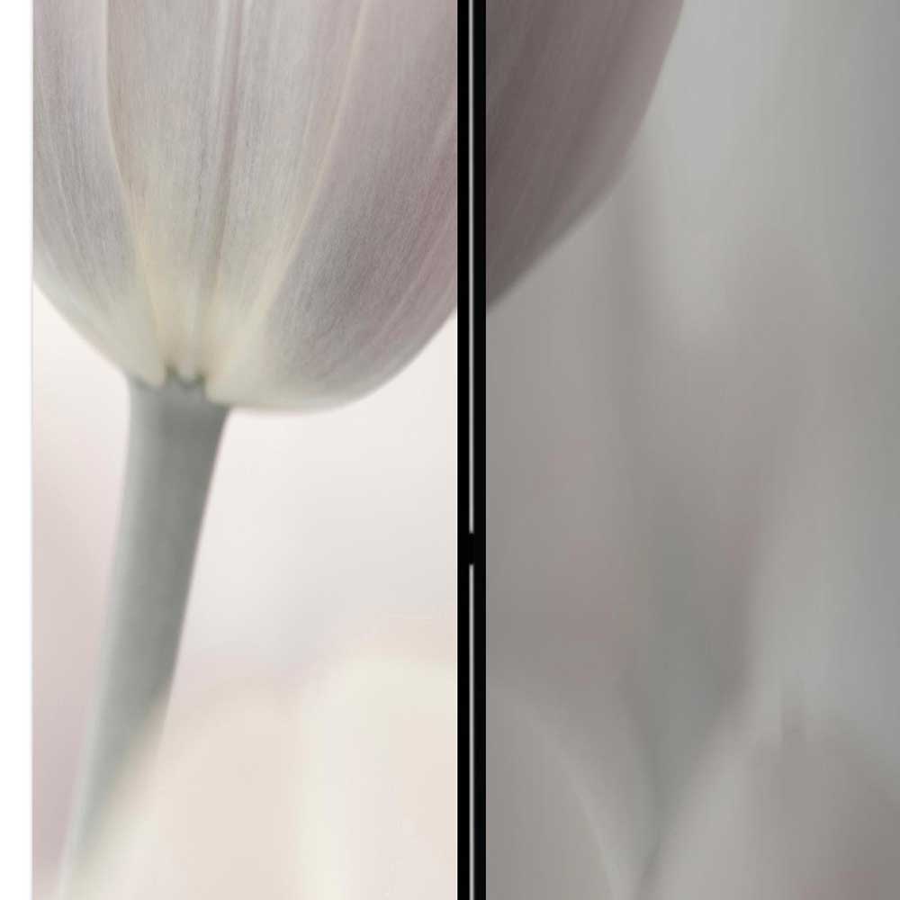 Paravent Close Up Tulpen in Schwarz Weiß - Roga