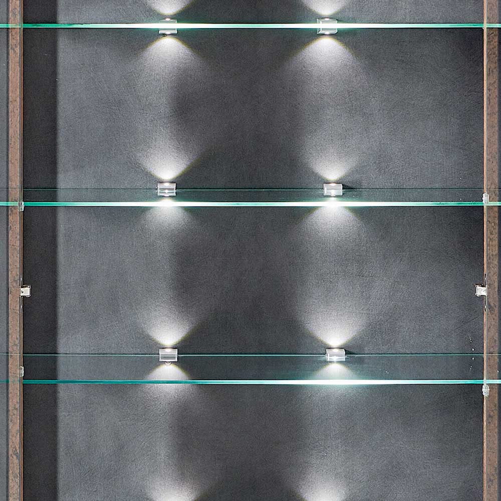 Industrial Vitrinenschrank mit LED Licht - Firodras