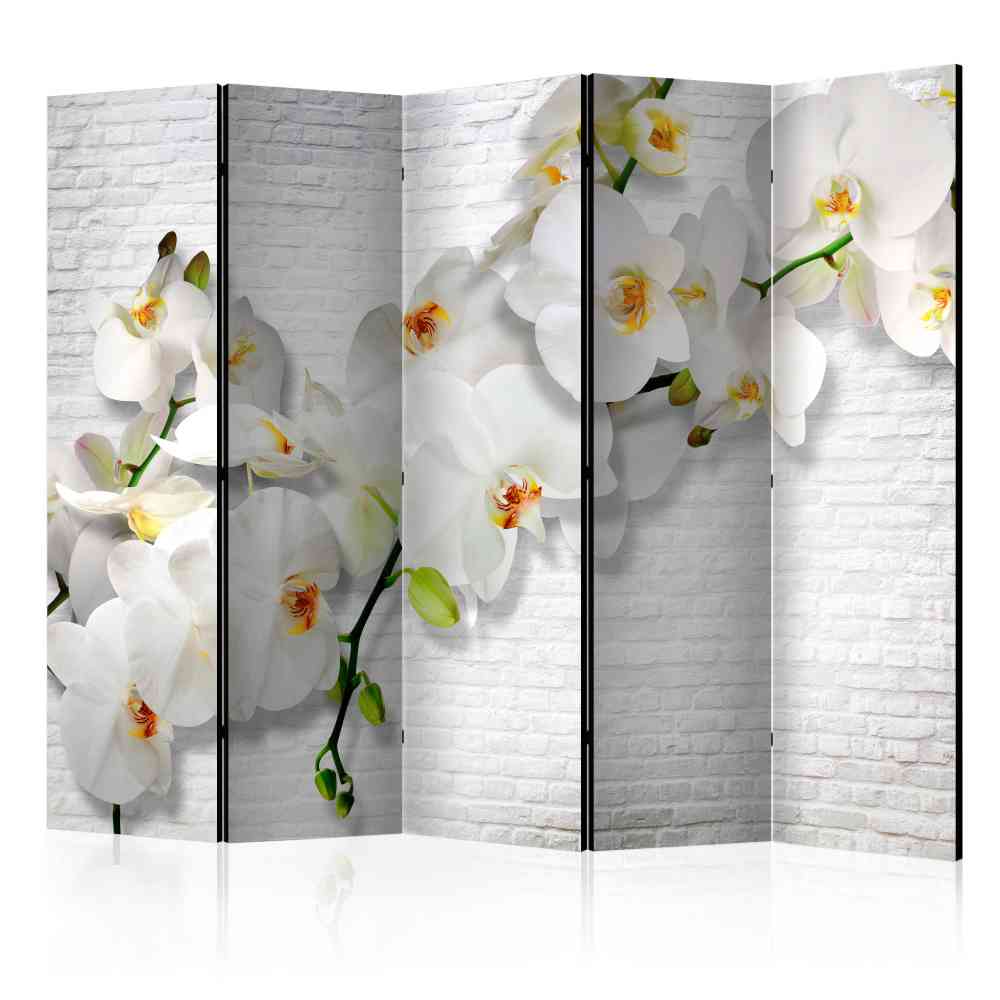 Paravent Raumtrenner Orchideen vor Mauer - Anthony