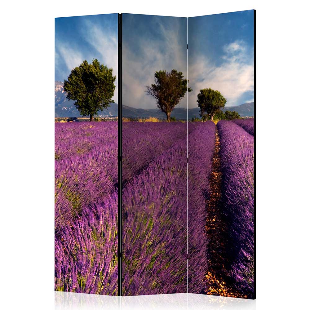 Fotomotiv Raumteiler Lavendelfeld Provence - Ozaro