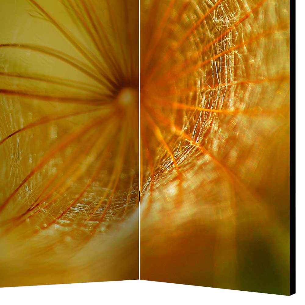 Spanische Wand mit Foto Löwenzahn Close Up in Gelb - Corgova