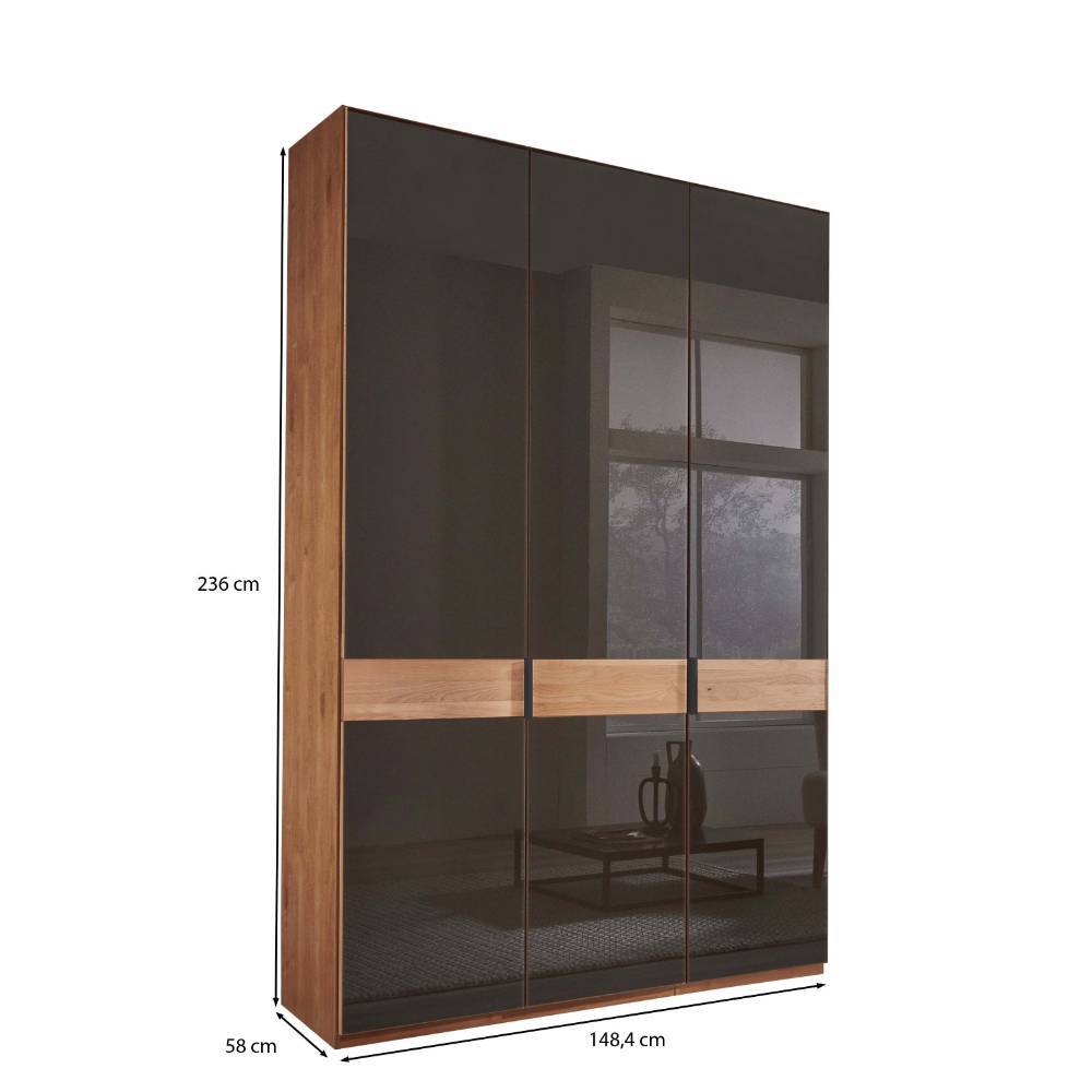 Glasfront-Schlafzimmerschrank in Dunkelbraun - Hung