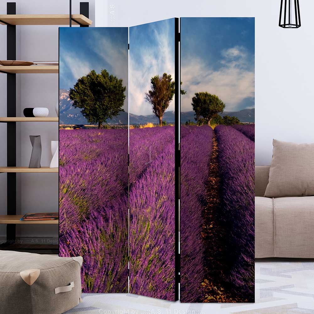 Fotomotiv Raumteiler Lavendelfeld Provence - Ozaro
