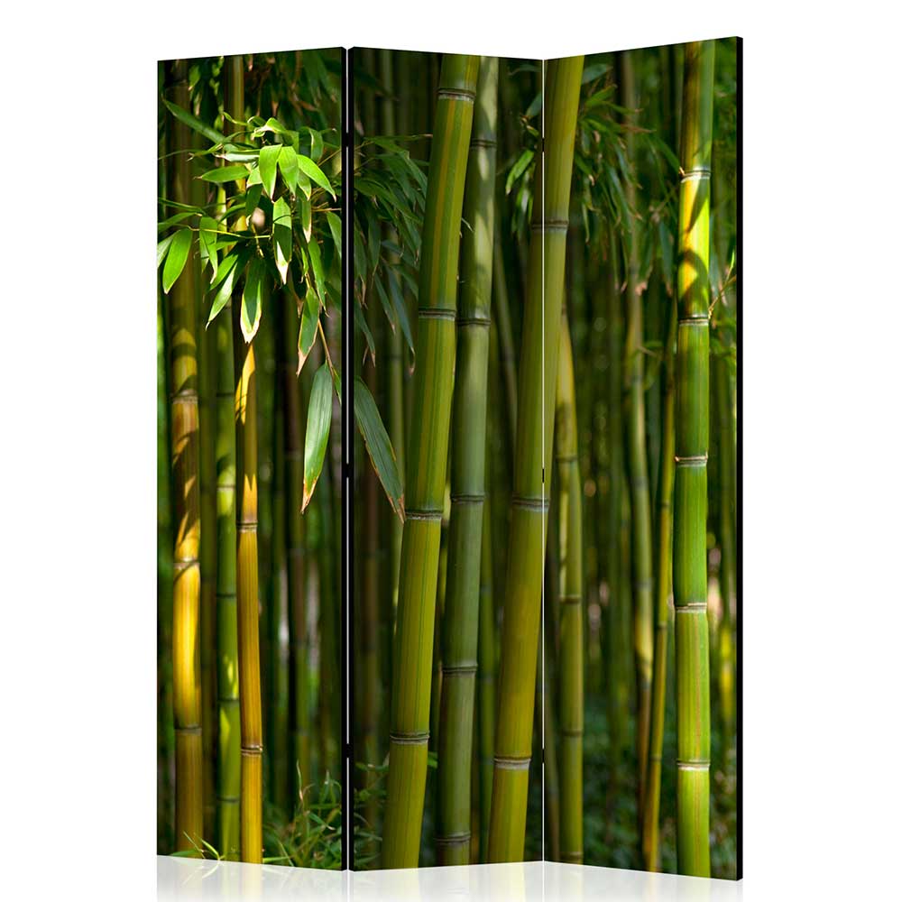 Fotodruck Paravent Bambus Halme & Blätter - Lecodas