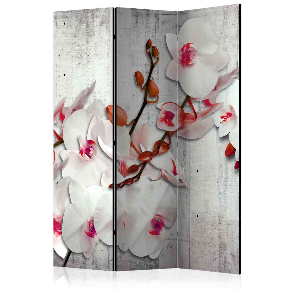 Leinwand Raumtrenner mit Orchideen - Younglo