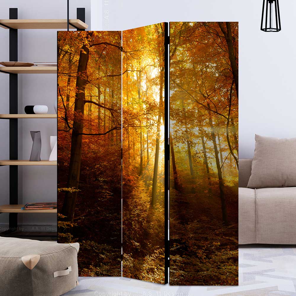 Paravent Trennwand Wald in Herbststimmung - Jemja