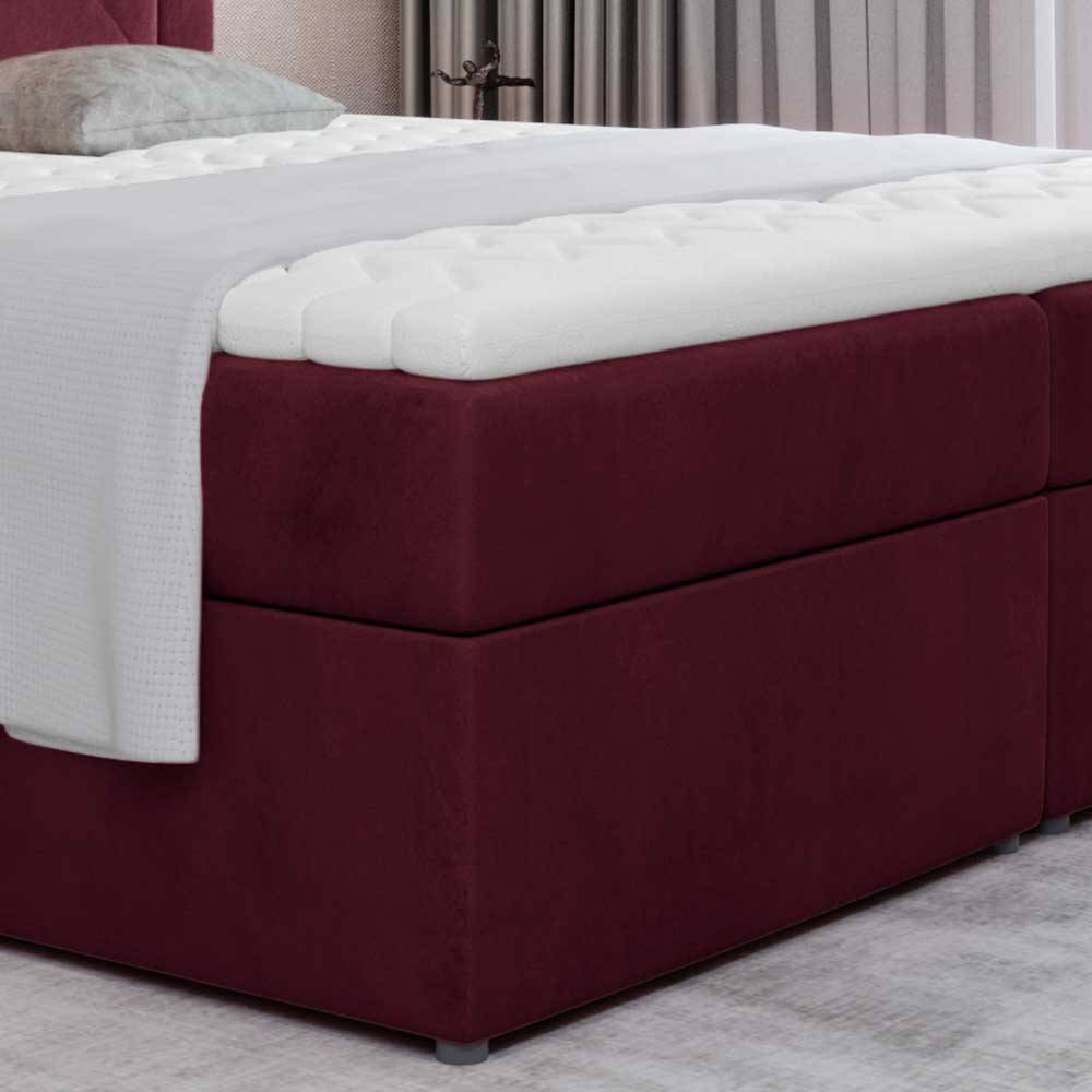 Samt Komplettbett in Bordeaux Rot - Flexin