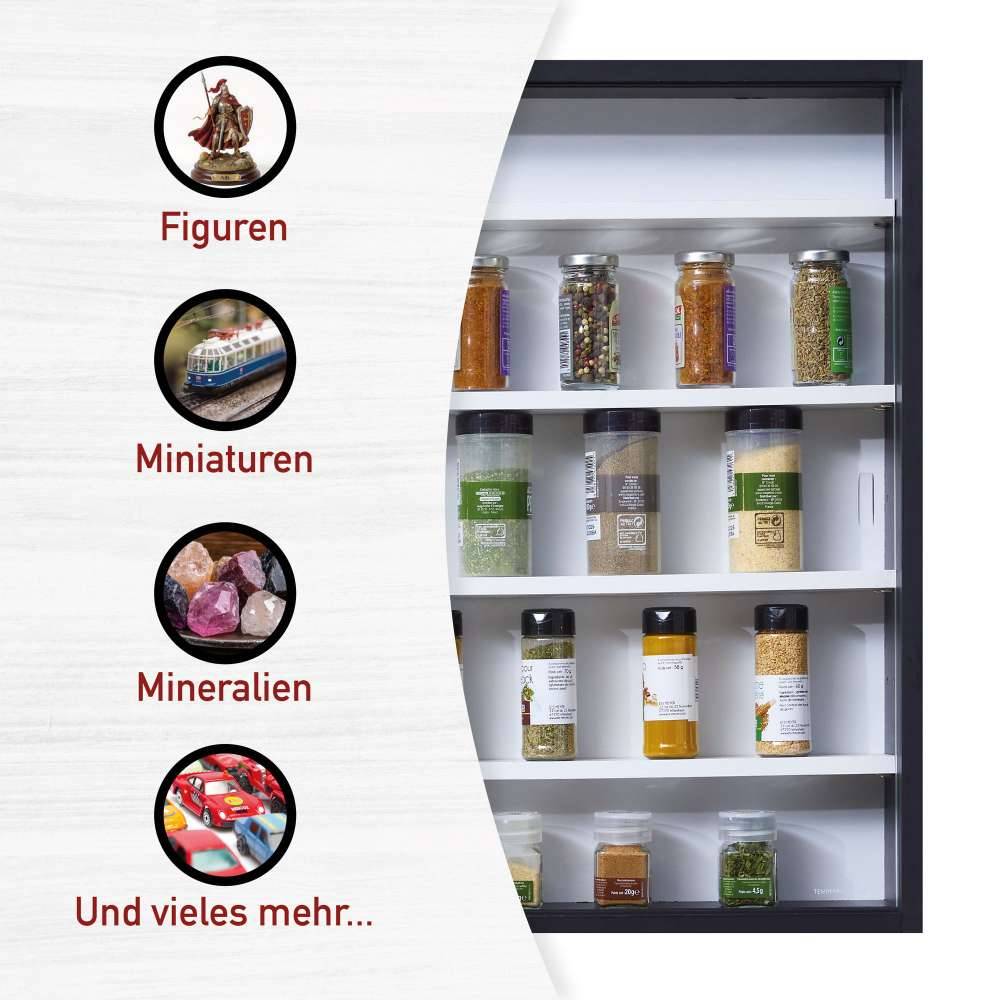 Moderne Hängevitrine für Sammlungen 80x60x10 - Lovro