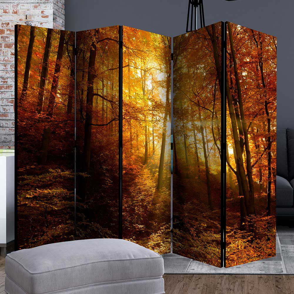 Paravent Trennwand Wald in Herbststimmung - Jemja