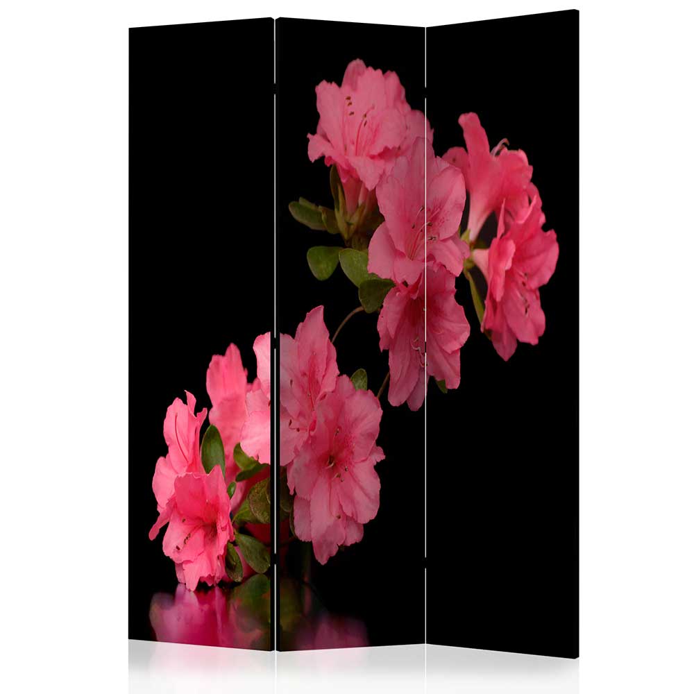 Fotodruck Leinwand-Paravent mit Azalee in Rosa - Kitza