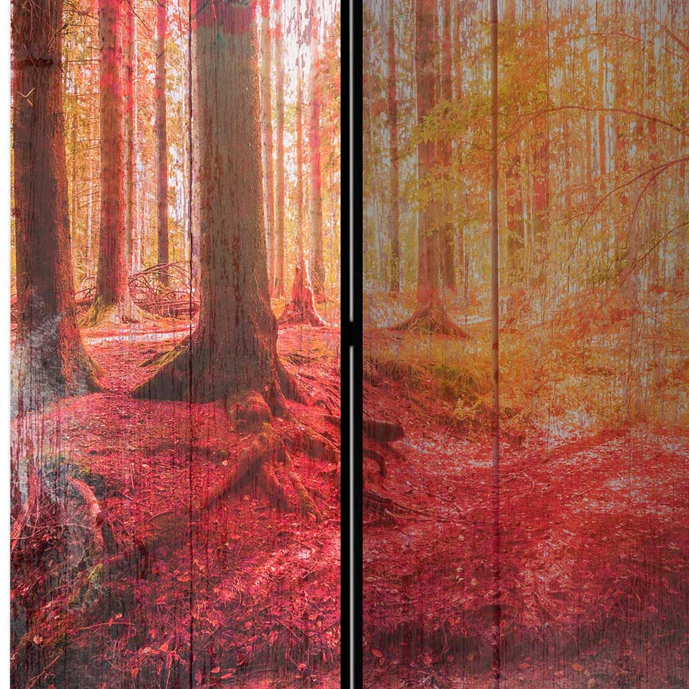 Spanische Trennwand mit Foto Herbstwald - Zither