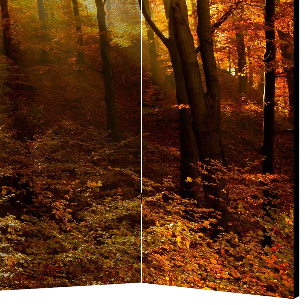 Paravent Trennwand Wald in Herbststimmung - Jemja