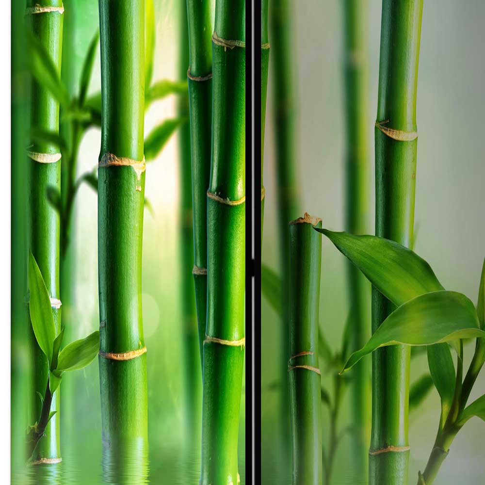 Foto Paravent mit Bambus & Wasser Motiv - Enyi