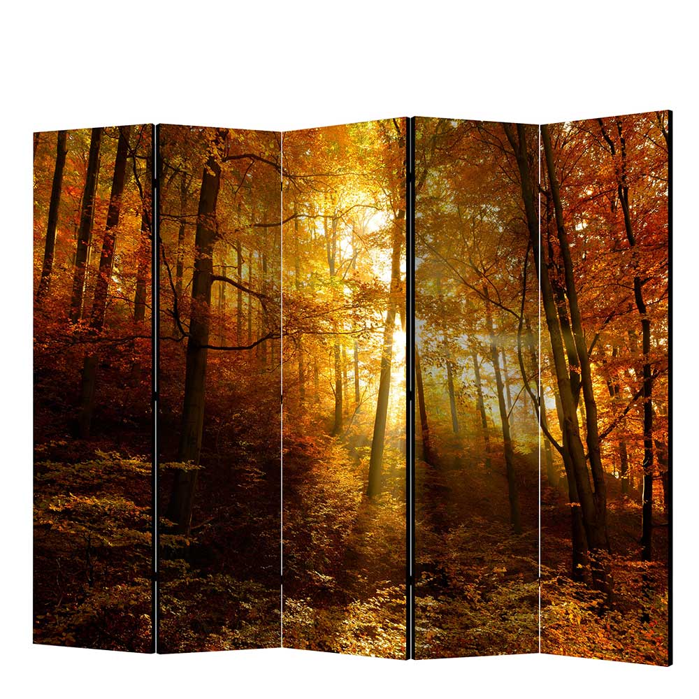 Paravent Trennwand Wald in Herbststimmung - Jemja