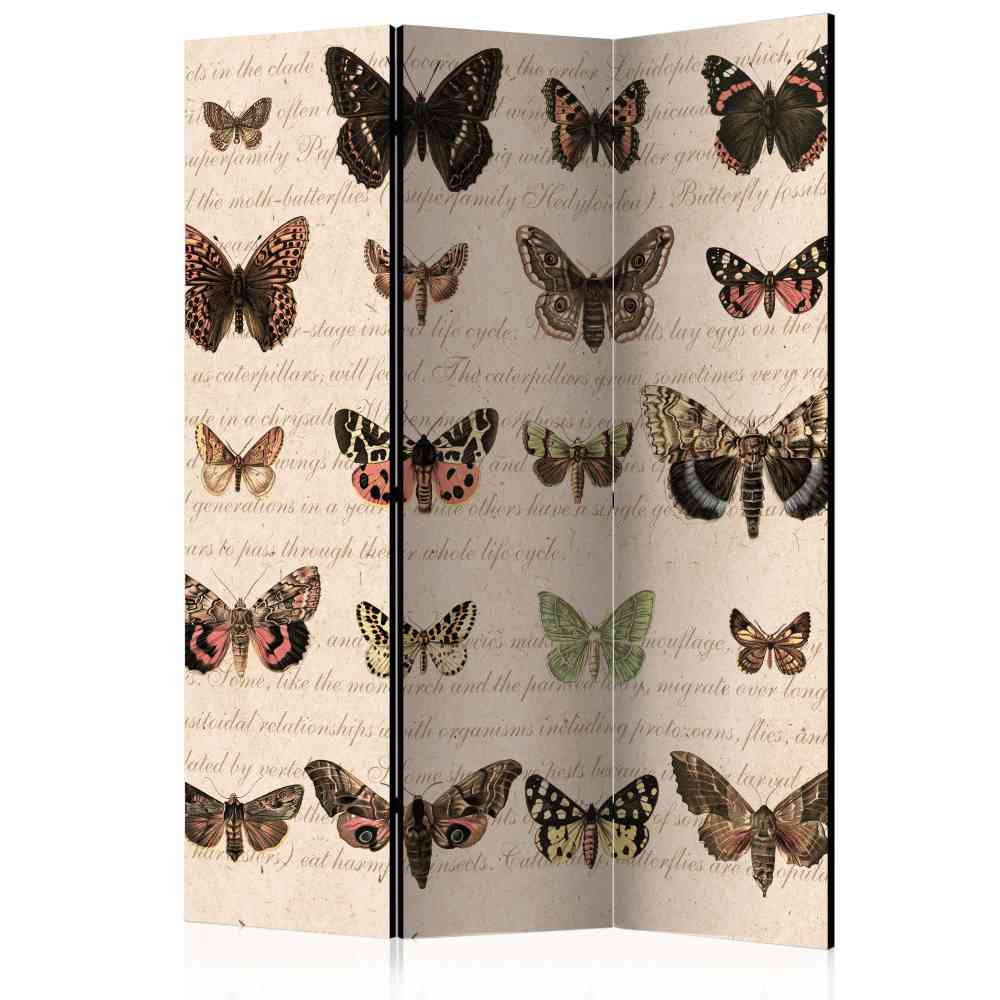 Design Paravent Schmetterlinge & Motten - Sina