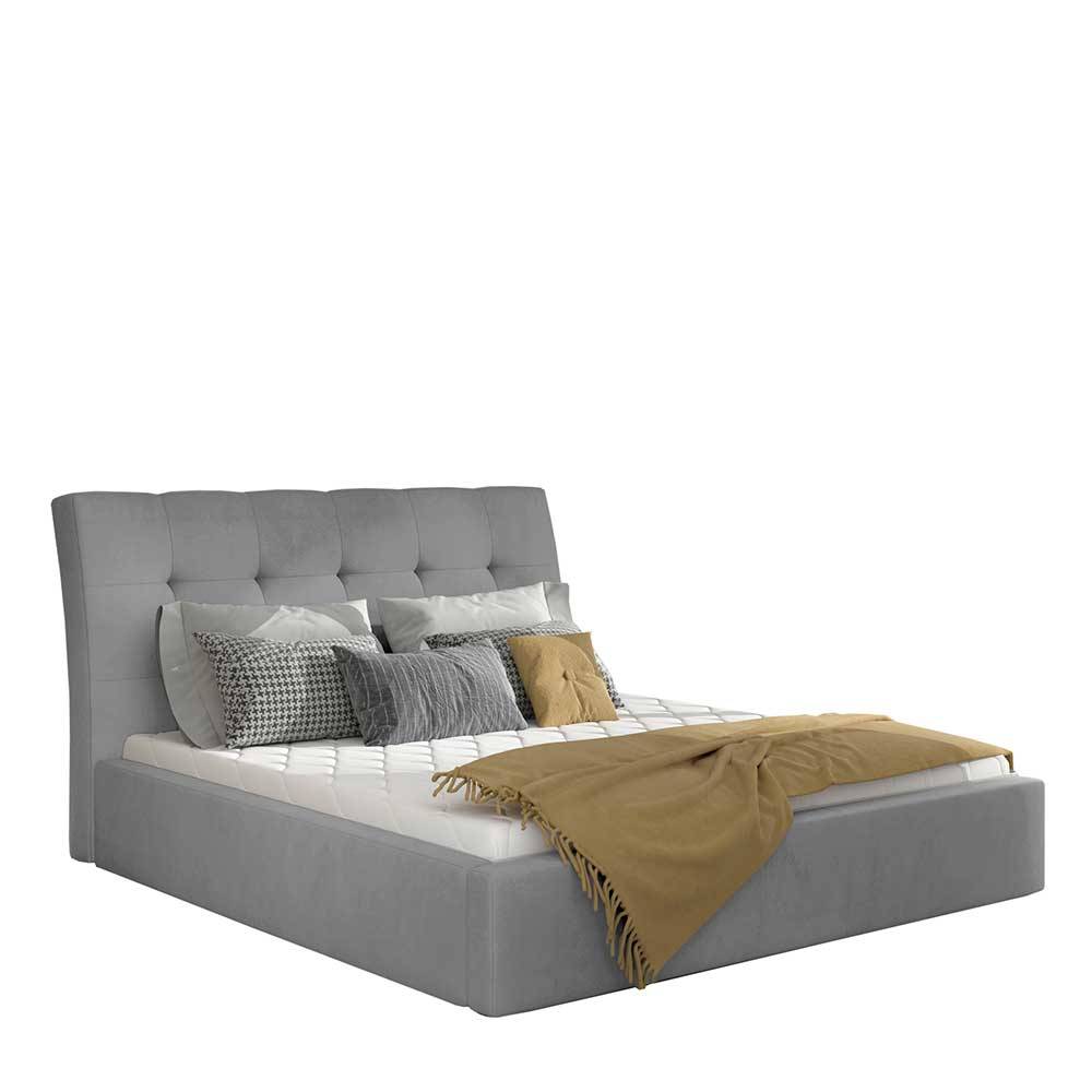 Samtbett in Hellgrau - Lavista