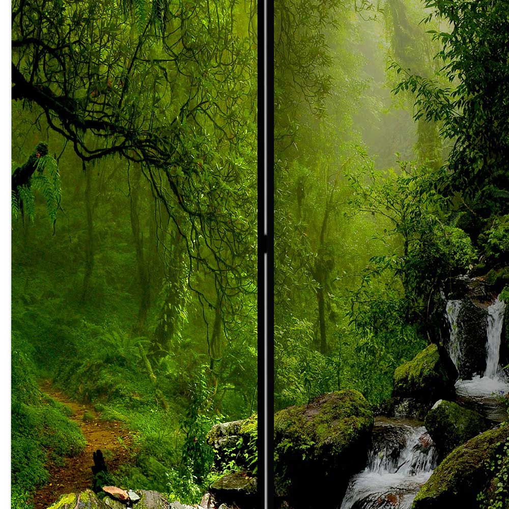 Naturmotiv Paravent Wald & Wasser - Rikuo